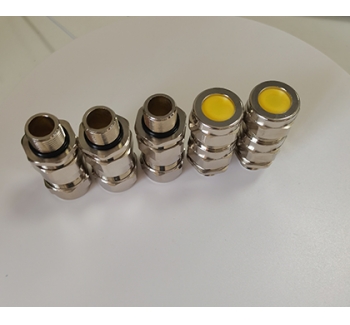 BDM-VII雙密封防爆填料函