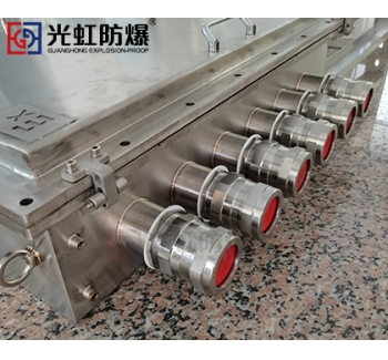 316不銹鋼防爆接線箱 立式防爆防腐接線控制箱