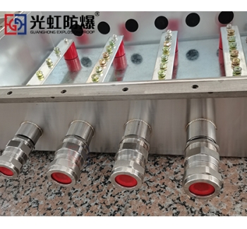 316不銹鋼防爆接線箱 立式防爆防腐接線控制箱