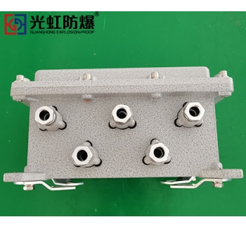 IIB隔爆型防爆接線端子箱空箱（IP54 T6）