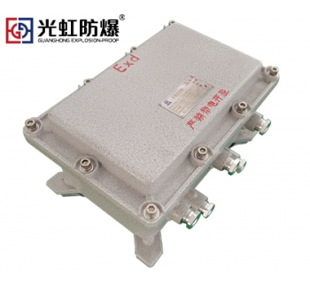 IIB隔爆型防爆接線端子箱空箱（IP54 T6）