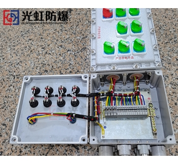 BXX-7K63XG化工廠防爆檢修箱（帶防爆插座）