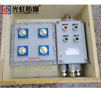 粉塵防爆配電箱 現(xiàn)場防爆動力配電箱