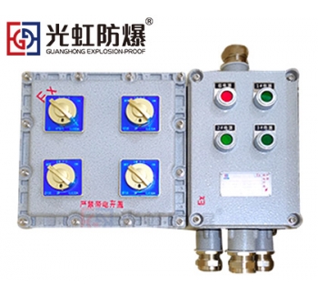 粉塵防爆配電箱 現(xiàn)場防爆動力配電箱