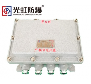 IIB隔爆型防爆接線端子箱空箱（IP54 T6）