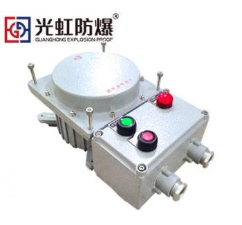 正反轉(zhuǎn)三相電機(jī)防爆磁力啟動(dòng)箱IIC