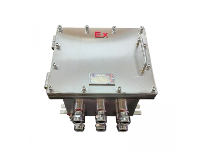 304不銹鋼防爆接線(xiàn)箱 戶(hù)外監(jiān)控設(shè)備接線(xiàn)端子控制