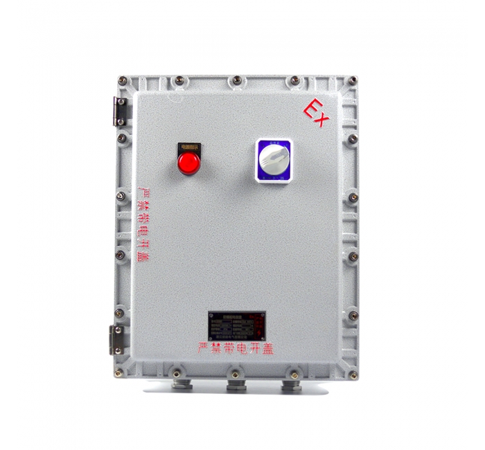 500X600X200粉塵防爆接線箱 防爆監(jiān)控模塊箱